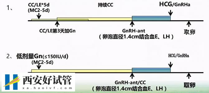 黄体期方案适合什么人(图2)